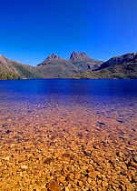 Dove Lake and Cradle Mountain from Picnic Cove, CM-Lake St Clair National Park, Tasmania