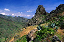 Guarimiar Gully landscape, Alajero, La Gomera, Canary Islands