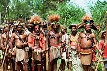 Members of Huli wigman tribe at Compensation ceremony near Tari, Central highlands, Papua New Guinea