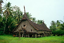 Spirit or Long house at Gojomas village, Sepik Region, Papua New Guinea