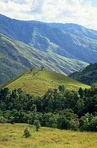 Schrader Ranges landscape in the highlands of Papua New Guinea