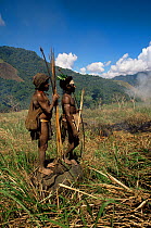 Hagahai warriors standing on stone in grassland, hunting pigs, smoking them out of field, Papua New Guinea 1992