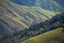 Schrader Ranges landscape, in highlands of Papua New Guinea