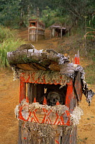 Traditional Huli wigman grave, Papua New Guinea, 1991