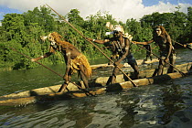 Asmat war canoe with tribal people on river, Irian Jaya / West Papua, New Guinea 1991 (West Papua).