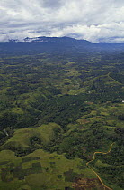 Aerial view of Highland gardens and farmland, Irian Jaya / West Papua, Papua New Guinea 1991 (West Papua).