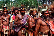 Huli tribesmen at Compensation ceremony, Papua New Guinea. 1990.