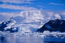 Mountain and glacier with ice floes, Antarctic Peninsula summer, Antarctica