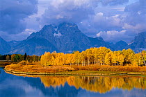 RF- Mt Moran and Snake river at oxbow bend. Grand Teton National Park, Wyoming, USA. Autumn. (This image may be licensed either as rights managed or royalty free.)