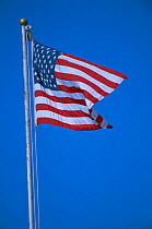 Stars and Stripes USA national flag blowing in wind against blue sky