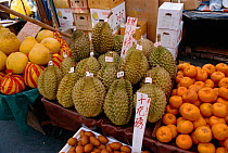Durian fruit for sale in market {Durio zibethinus} Hong Kong, China