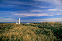 Walney Island with lighthouse, Morcambe Bay, Lancashire UK