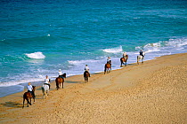 Horse riders on beach at Conil de la Frontera, Cadiz province, southern Spain