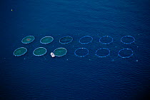 Aerial view of fish farm nets in sea off coast of Alicante, Spain
