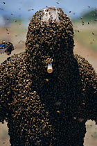 Bee man mimics queen Honey bee pheromone. Bees are attracted to protect him