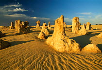 The Pinnacle Desert landscape, Namburg NP near Perth, Western Australia