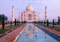 The Taj Mahal at sunrise, Agra, Uttar Pradesh, India