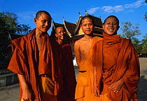 Novice monks  at Wat Xieng Thong, Luang Prabang, Laos South East Asia. Model Released