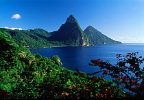 Soufriere Bay landscape with volcanic peaks of the Pitons, St Lucia, Caribbean