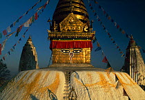 Swayambhunath Stupa in Kathmandu, Nepal (Monkey temple)