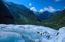 Climbers on Briksdal glacier, Jostedalsbreen NP, Olden, Sogn og Fjordane, Norway