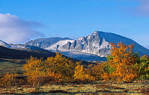 Autumn landscape, Rondane NP, Norway