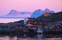 Midnight sun at fishing village, A Lofoten, Nordland, Norway