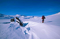 Cross country skier looking towards Hardangerjokulen glacier, Finse, Norway