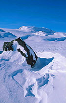 Top of the mountain and Hardangerjokulen glacier, Finse, Norway