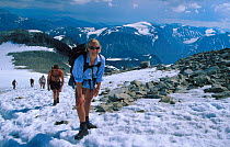 Tourists climb Galdhopiggen, 2468 m, highest mountain in Norway. Jotunheimen NP