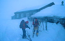 Hikers putting on skiis outside mountain hut in snow storm. Finse, Hardangervidda, Norway