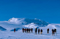Hikers cross country skiing to top of Haardangererjokulen, Hardangervidda, Finse, Norway