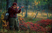 Hunter taking aim to shoot with gun -  dead Capercaillie in rucksack Vatnebrynvannet lake, Norway