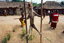 Leopard killed whilst raiding Epulu village. Ritualistic cleansing of affected villagers. Ituri forest reserve, Dem Rep Congo
