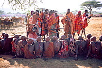 Maasai traditional E-unoto ceremony, Kedong Valley, Rift valley, Kenya. Elders talk and pass ceremonial gourd with blood / milk mix. 1985