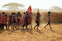Maasai 'E-unoto ceremony, Kedong Valley, Rift valley, Kenya. Il-murran dancers. 1985
