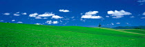 N-20404 Green field of crops with white clouds and blue sky above. Hokkaido, Japan.