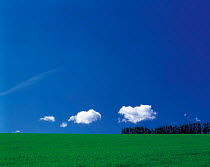 N-20702 Green field with white clouds and blue sky above. Europe.