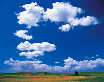 Y-5407 White clouds in blue sky above farmland, Europe.