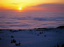 Y-9803 Bank of cloud at dawn over snowy landscape in half light. Japan.