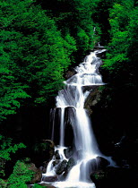 N-14201 Waterfall in woodland, Tochigi, Japan.