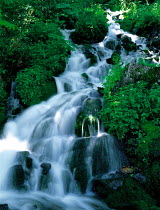 N-13701 Waterfall in woodland, Fukushima, Japan.