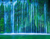 N-13705 Waterfall with curtain of water falling over green plants, Nagano, Japan.