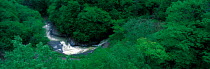 N-15003 Aerial view of river flowing round bend through woodland, Nagano, Japan.