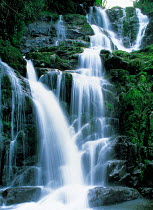 N-15706 Waterfall, Kilarney NP, Eire (Ireland), Europe.