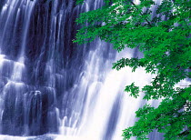 N-14602 Waterfall, Iwate, Japan.