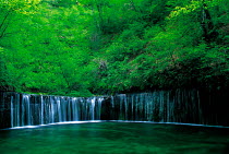 N-14404 Wide woodland waterfall, Japan.