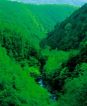 N-14801 Aerial view of river flowing through wooded valley, Nagano, Japan.