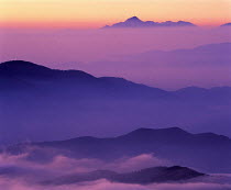 Y-8405 Misty landscape at sunrise, Mt Norikuradake, Nagano, Japan.