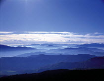 N-22701 Misty landscape, Mt Norikuradake, Nagano, Japan.